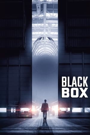 Boxed 2021 Hindi Movie [890MB] HD Poster Download - filmyfly