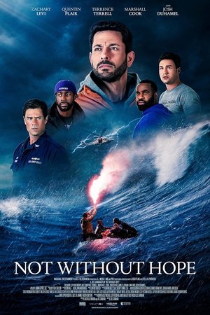 Not Without Hope (2025) Hindi (MULTI AUDIO) – – HD Poster Download - filmyfly
