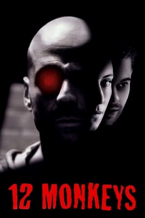 Twelve Monkeys (1995) Hindi Dual Audio Movie - 2.9GB HD Poster Download - filmyfly
