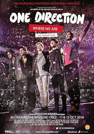 One Direction Where We Are The Concert Film