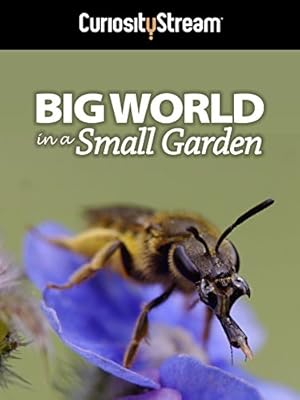 Big World in a Small Garden