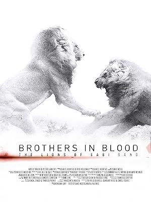 Brothers In Blood The Lions Of Sabi Sand