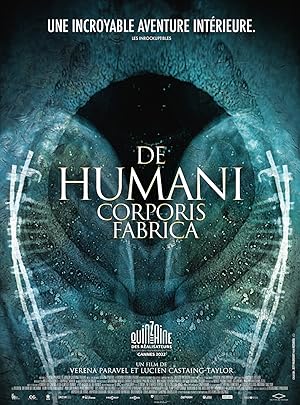 The Fabric Of The Human Body
