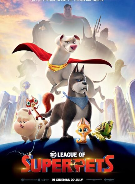 DC League Of Super Pets
